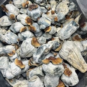 34fef64f-4202-4cfa-8afe-ec80f099ea44 Jack Frost