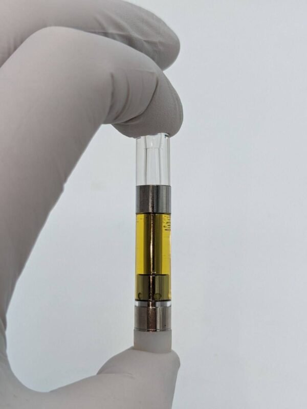 3bf85e4f-db2f-419d-923b-f7d5cc3bab86 Dmt Screw Cartilage and Magnet cartilage