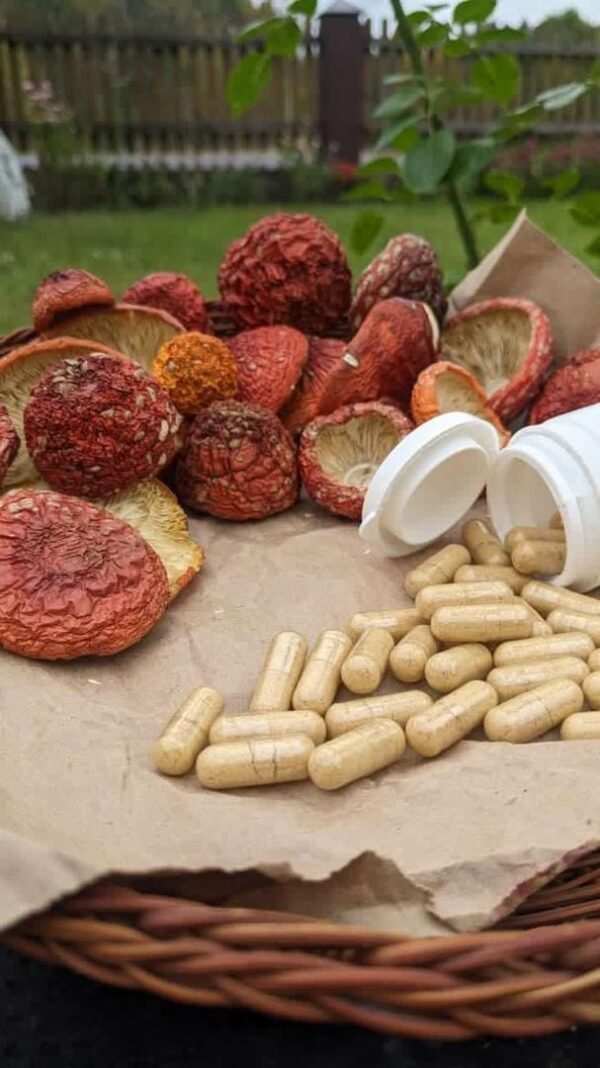3d29f2f1-9784-4b4c-8848-89745554e7a2 Amanita Capsules