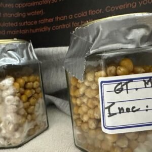 42891f49-d4ee-4768-8235-46a5559cc654 Spores