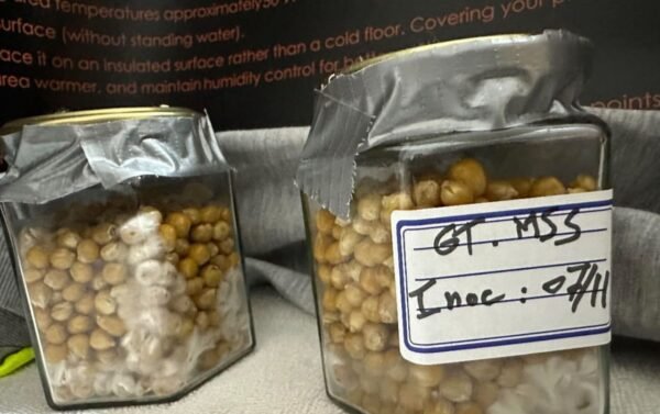 42891f49-d4ee-4768-8235-46a5559cc654 Spores