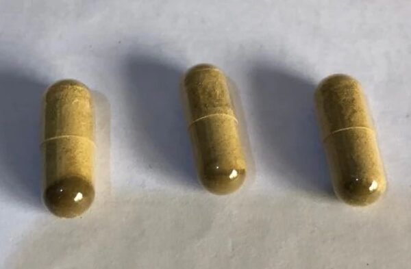 45ea4d00-c355-4e35-afc4-6bb5a999a5b9 The perfect micro dosing Caps Iboga powder plus TA