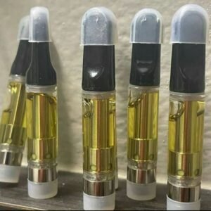 6027dfe0-650f-4f2d-a075-1d6f872de1d9 Dmt Screw Cartilage and Magnet cartilage