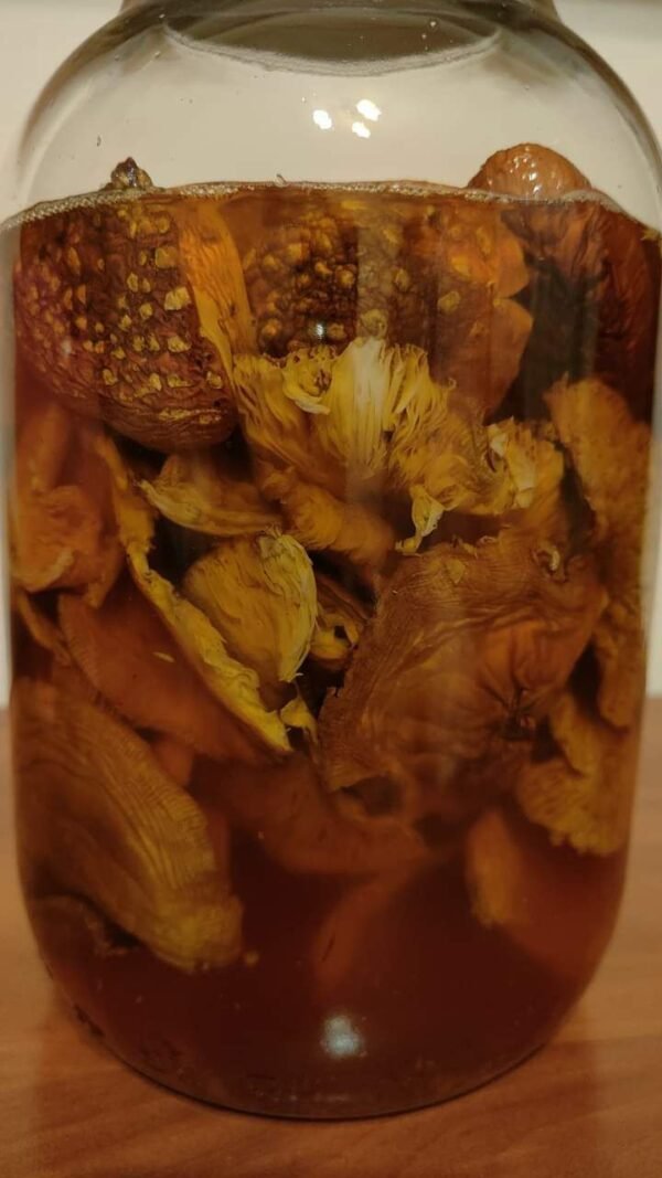 7f774be0-a075-45a1-95c2-44a1f2c9f607 Amanita tinctures