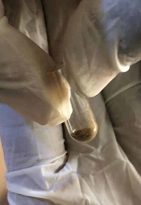 910c90d1-6a4e-414b-9d66-5cea53d36250 The perfect micro dosing Caps Iboga powder plus TA