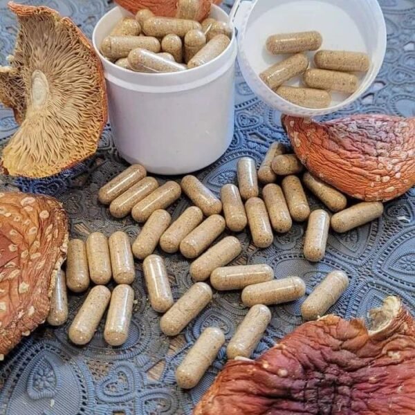 a2265667-ce05-49a6-ac5c-486dcffae93b (1) Amanita Capsules