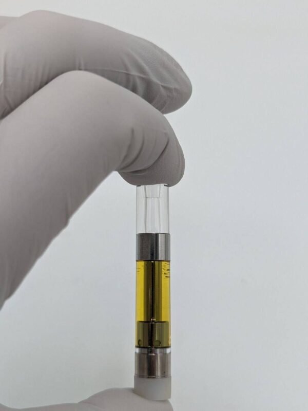 afc90374-a845-483b-a77e-d5ea45401454 Dmt Screw Cartilage and Magnet cartilage