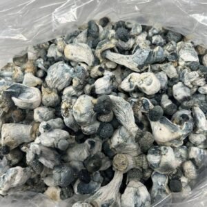 d06169a7-a4f7-4eea-b918-ed56c1236ab9 Blue meanie