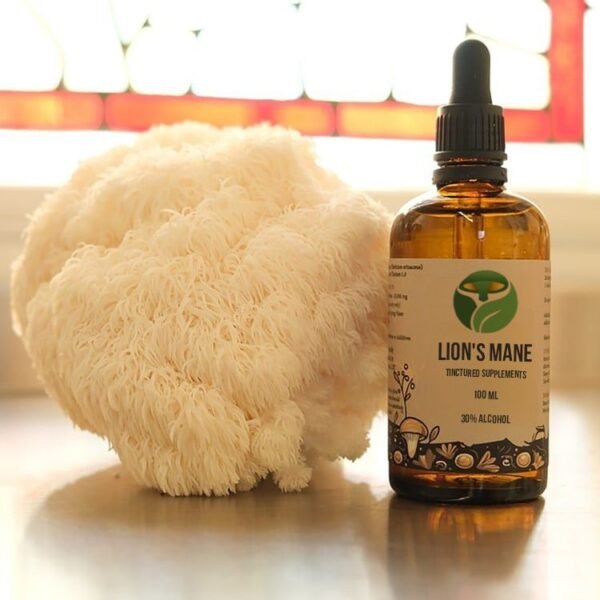 eadd5c02-a19b-4e87-a0b5-48baec4f129f Lion Mane Tintured supplements