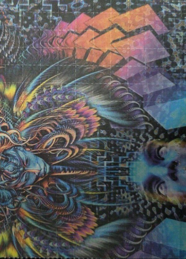 ec2fda57-b8d5-4714-b616-1e6d9c3b11f1 LSD Sheet